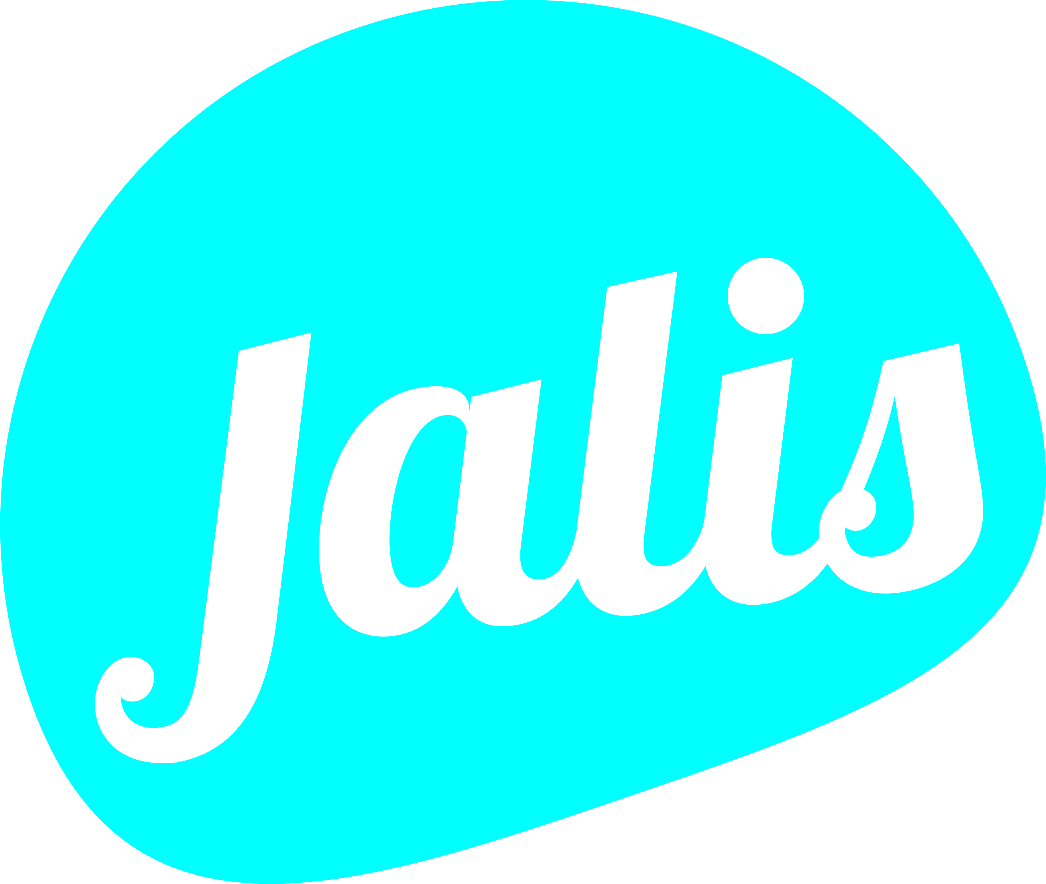référencement web Jalis