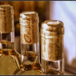 Le domaine Orgâmic, un autre regard sur la production de vin