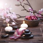 Créez facilement votre havre de paix avec une décoration zen